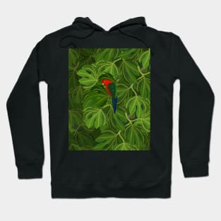 Fig Tree Parrot Hoodie